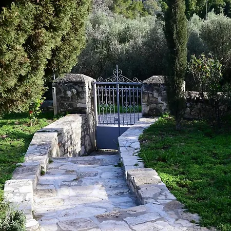 Vigles Villa *